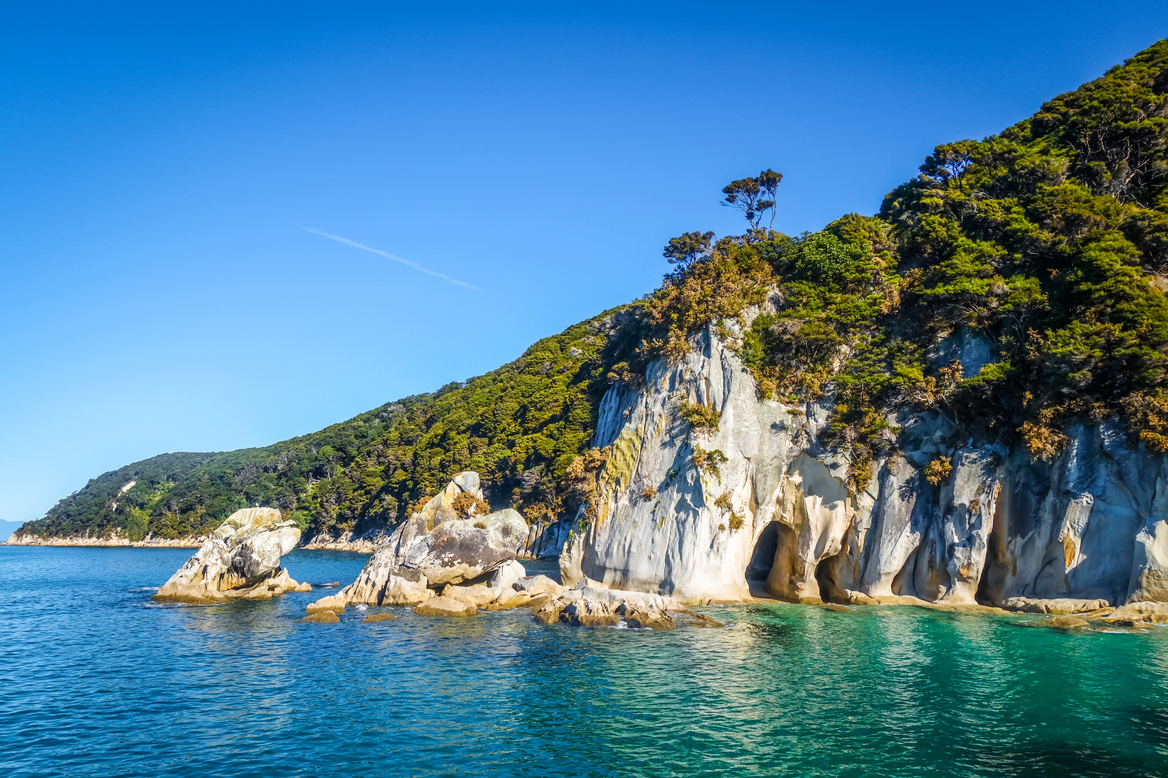 109 abel tasman national park.webp